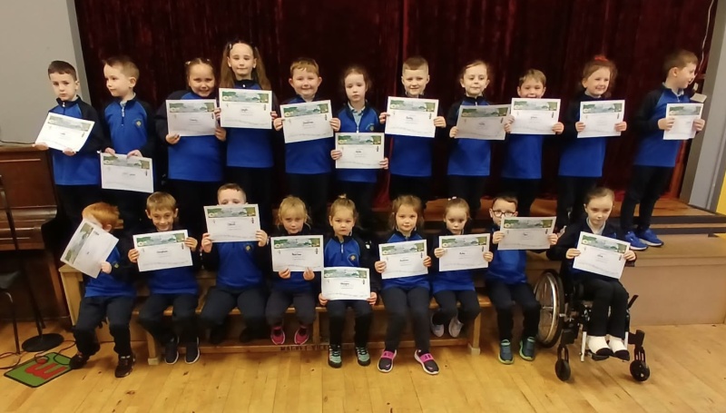 Senior infants - Ms. Carmody