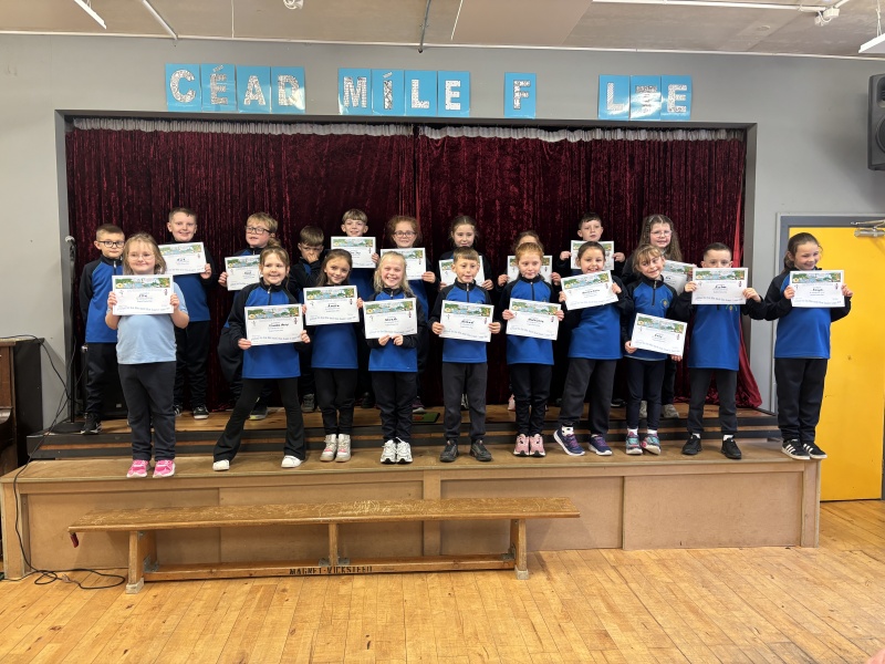 2nd class - Ms Fine/ Ms. Casey